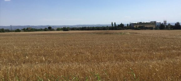 16000m² Hotel in Thermi, Greece No. 5669 4