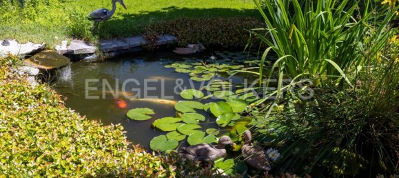 4 bedrooms Villa in Ispra, Italy No. 295849 22