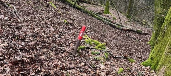 Casa T1 em Hanviller, France N.º 65755 17