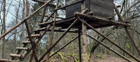 Casa T1 em Hanviller, France N.º 65755 13