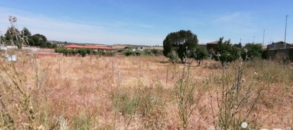 2048m² Land in Castilla–La Mancha, Spain No. 292992 2