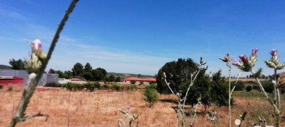2048m² Land in Castilla–La Mancha, Spain No. 292992 6