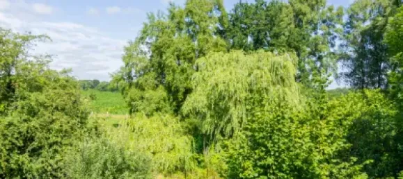  Land in Wandsbek, Germany No. 222095 7