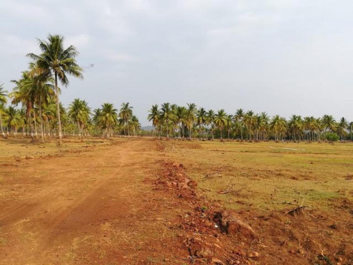  قطعة أرض في Visakhapatnam, India رقم 35176