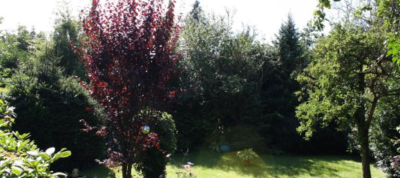 2 Schlafzimmer Haus in Stormarn, Germany, Nr. 282846 42