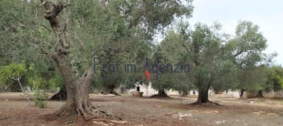 Дом с 10 комнатами в Челье Мессапика, Италия № 81706 21