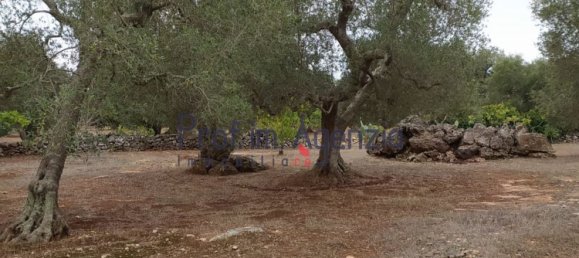 Дом с 10 комнатами в Челье Мессапика, Италия № 81706 23