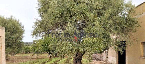 Дом с 10 комнатами в Челье Мессапика, Италия № 81706 5