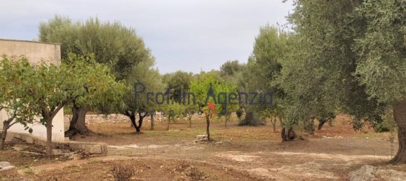 Дом с 10 комнатами в Челье Мессапика, Италия № 81706 22