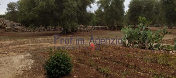 Дом с 10 комнатами в Челье Мессапика, Италия № 81706 24