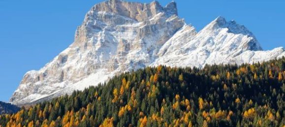 2 bedrooms House in Borca di Cadore, Italy No. 88702 19