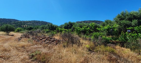 Hotel em Lasithi, Greece 18000 m² N.º 4177 4