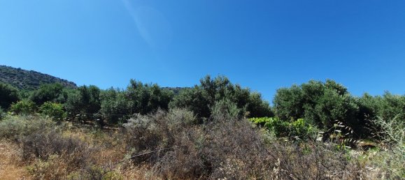 Hotel em Lasithi, Greece 18000 m² N.º 4177 3