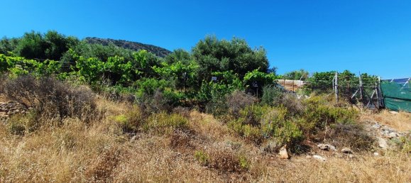 Hotel em Lasithi, Greece 18000 m² N.º 4177 5