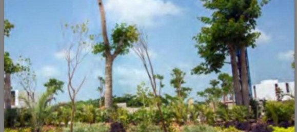 Дом с 3 спальнями в Мерида, Мексика № 141704 2