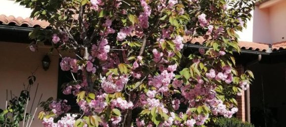 Вилла с 10 комнатами в Веккьяно, Италия № 111837 5