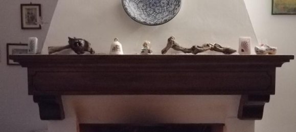 Вилла с 10 комнатами в Веккьяно, Италия № 111837 7