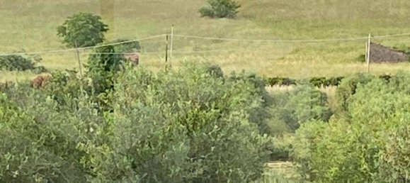 1 room Land in Ciampino, Italy No. 29309 5