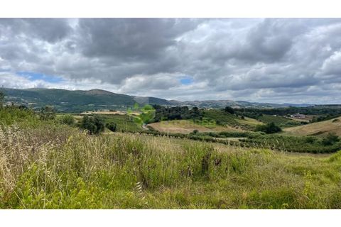Terrain à Cadaval, Portugal No. 239020