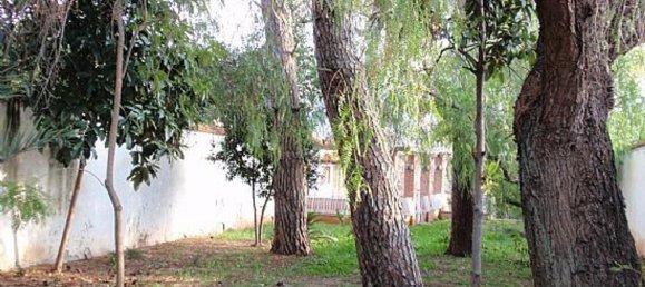 8 غرف نوم منزل في Canals, Spain رقم 67334 6