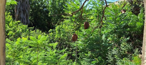 8 غرف نوم منزل في Canals, Spain رقم 67334 18