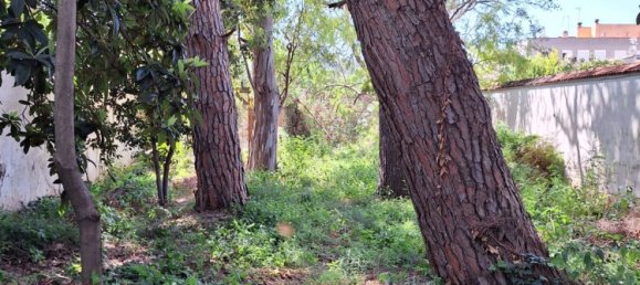 8 غرف نوم منزل في Canals, Spain رقم 67334 19