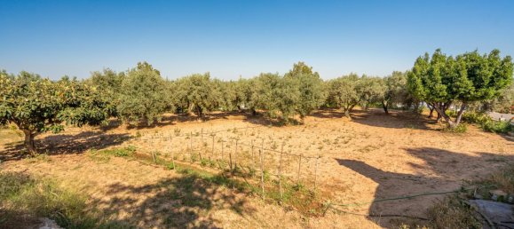 3 bedrooms House in Pedralba, Spain No. 154829 31