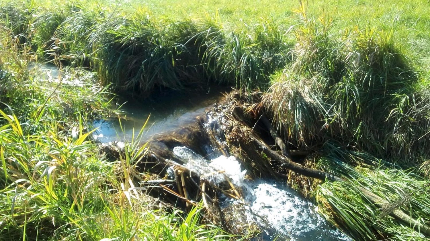 Terreno em Unterallgau, Germany N.º 287210