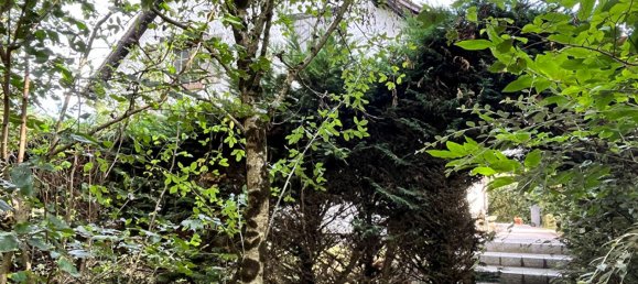 5 bedrooms House in Vienne-en-Val, France No. 91786 4