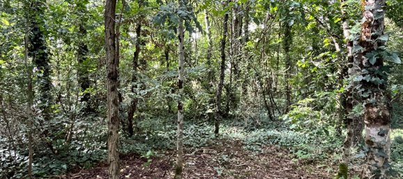 5 bedrooms House in Vienne-en-Val, France No. 91786 5