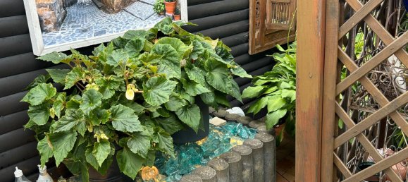 Terrain à Wolfsburg, Germany No. 270297 10