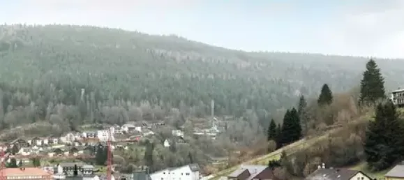 Земельный участок в Кальв, Германия № 33678 4