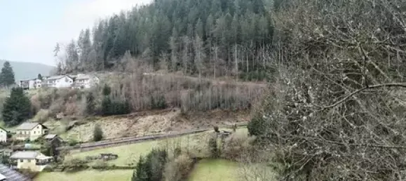 Земельный участок в Кальв, Германия № 33678 7