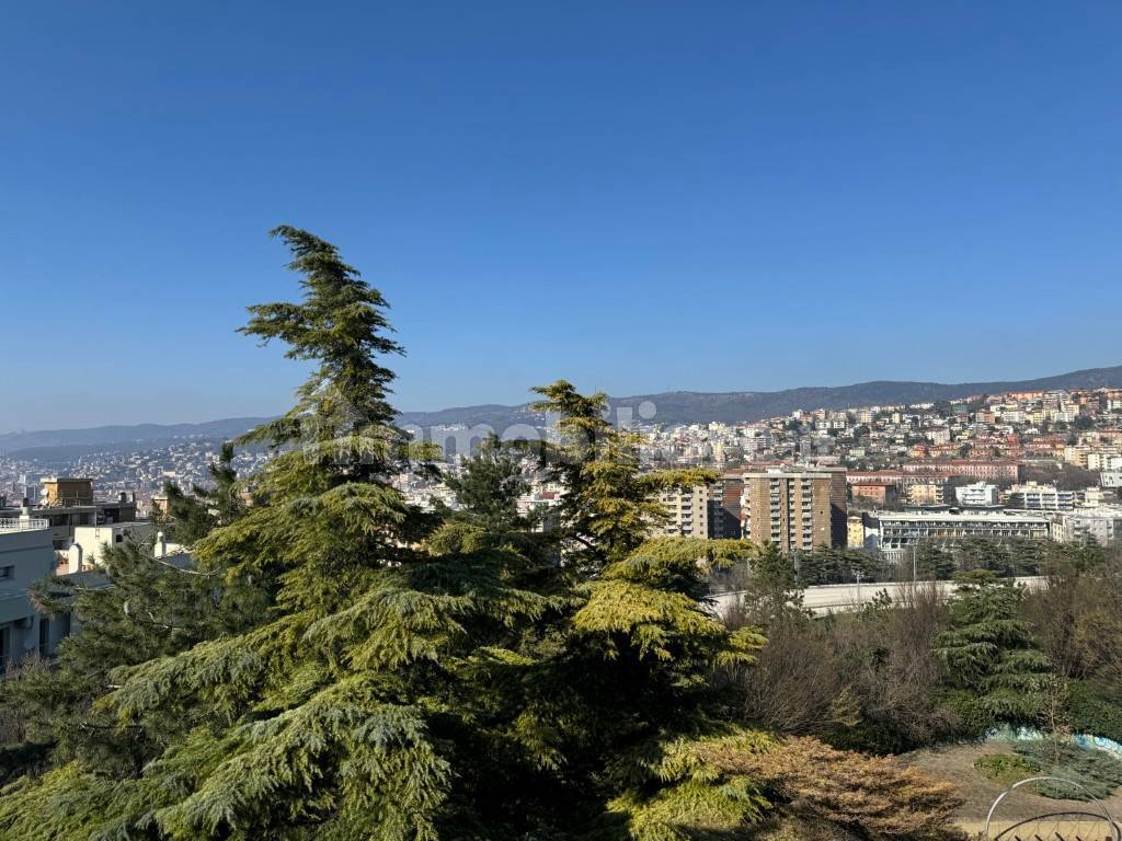 2 chambres Appartement à Trieste, Italy No. 93620