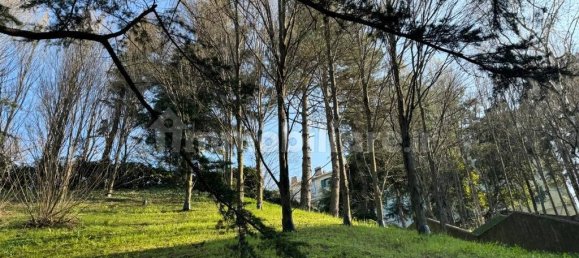 2 chambres Appartement à Trieste, Italy No. 93620 51