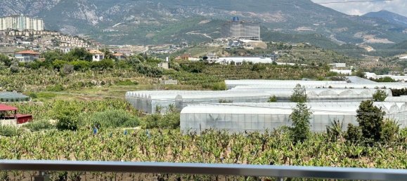 2 rooms Apartment in Mahmutlar, Turkey No. 30196 12