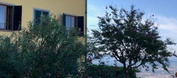 10 rooms Villa in Fiesole, Italy No. 91783 14