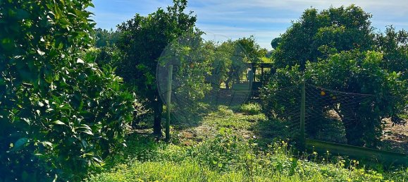 4 bedrooms House in Montijo, Portugal No. 22424 19