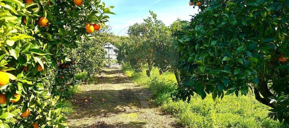 4 bedrooms House in Montijo, Portugal No. 22424 18