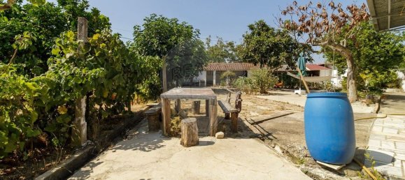 4 Schlafzimmer Haus in Rio Maior, Portugal, Nr. 285800 27