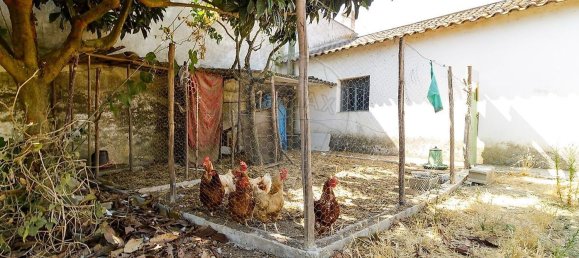 4 Schlafzimmer Haus in Rio Maior, Portugal, Nr. 285800 28