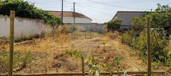 4 Schlafzimmer Haus in Rio Maior, Portugal, Nr. 285800 26