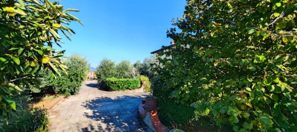 6 bedrooms Villa in Rosignano Marittimo, Italy No. 135820 19