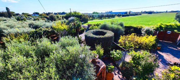 6 bedrooms Villa in Rosignano Marittimo, Italy No. 135820 2