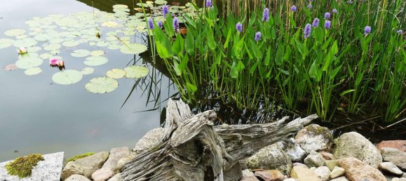 3 bedrooms Villa in Anhalt-Bitterfeld, Germany No. 287397 21