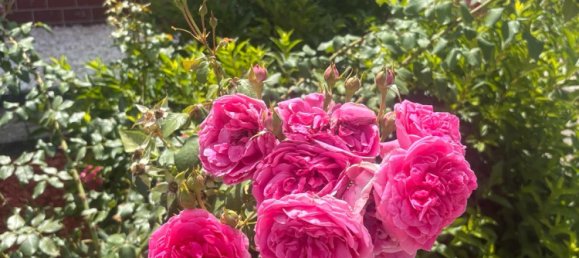 3 غرف نوم منزل في Saarbrucken, Germany رقم 239526 10