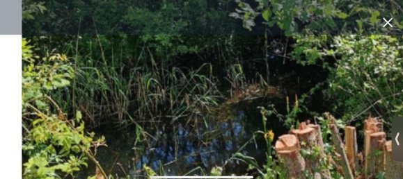 3 غرف نوم منزل في Saarbrucken, Germany رقم 239526 3