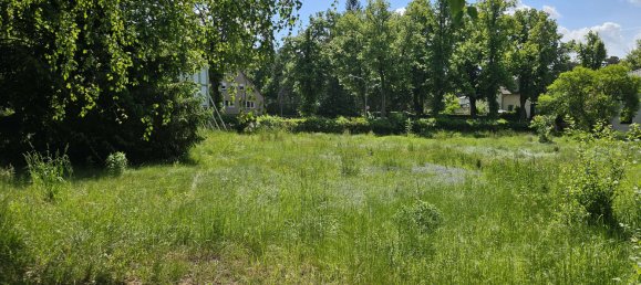  Land in Dahme-Spreewald, Germany No. 313527 4