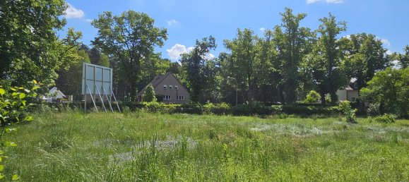  Land in Dahme-Spreewald, Germany No. 313527 6