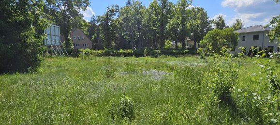  Land in Dahme-Spreewald, Germany No. 313527 9